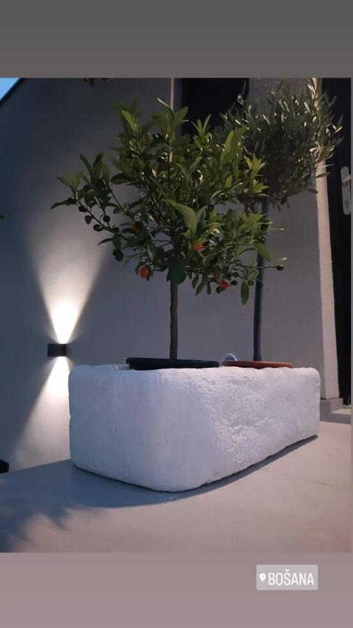 Villa Panama Bosana 外观 照片